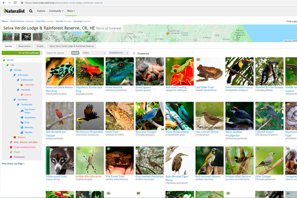 iNaturalist screenshot